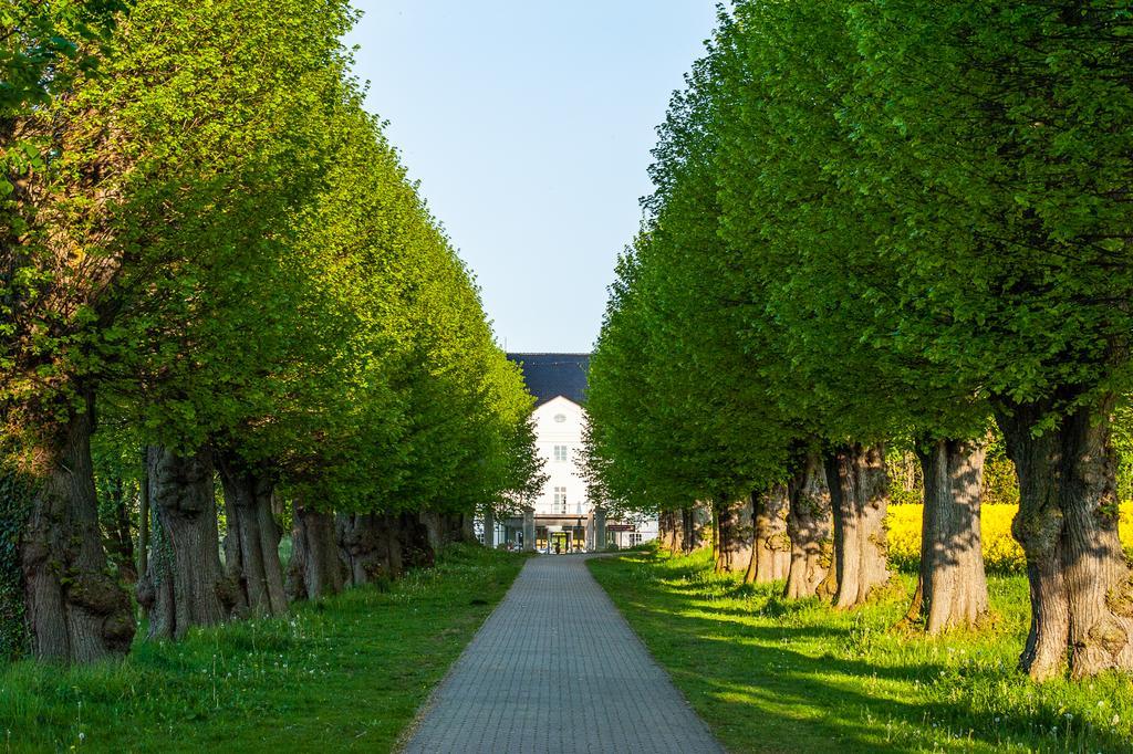 Schlossgut Groß Schwansee Екстериор снимка The linden tree avenue